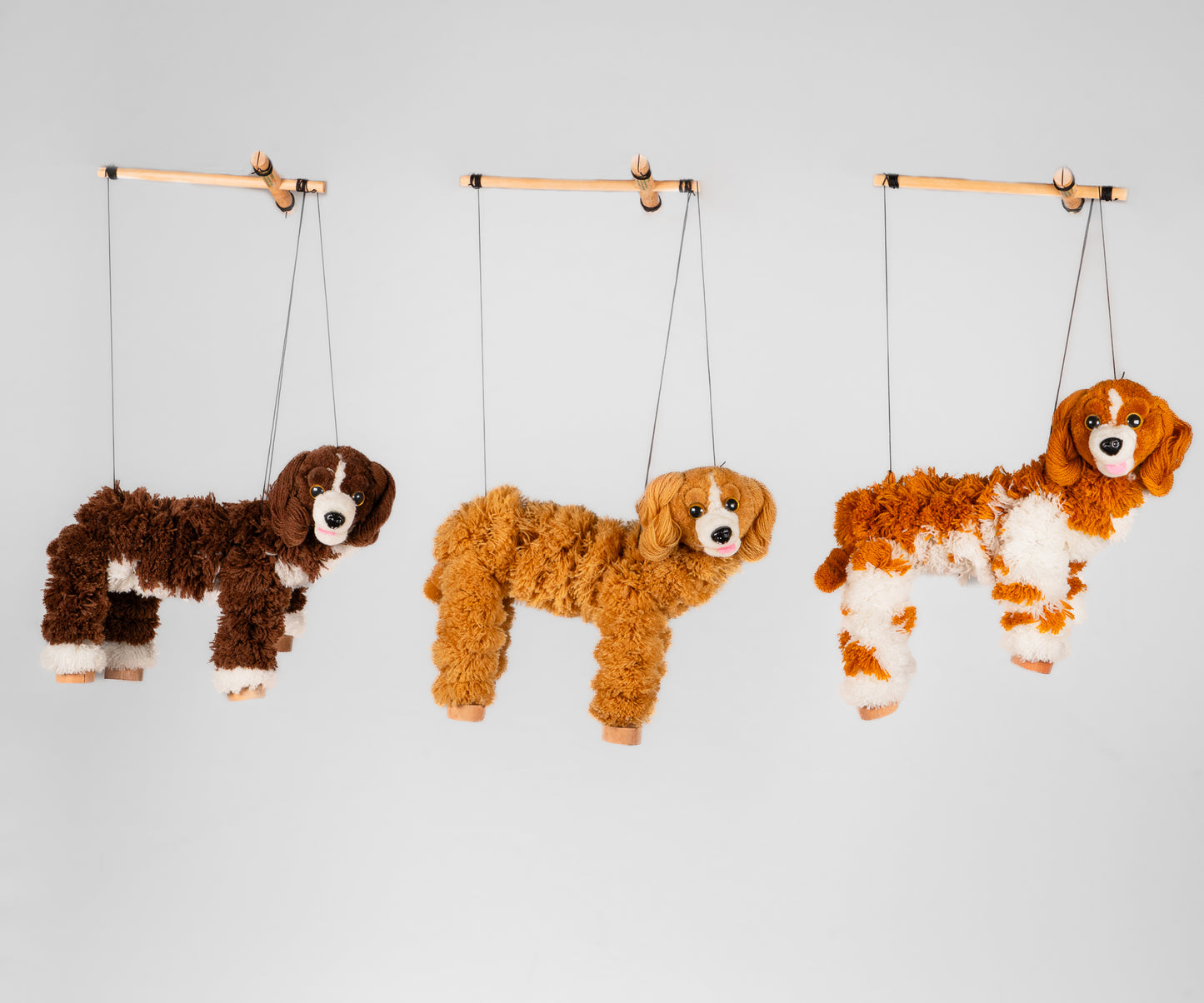 Cocker Spaniel Dog