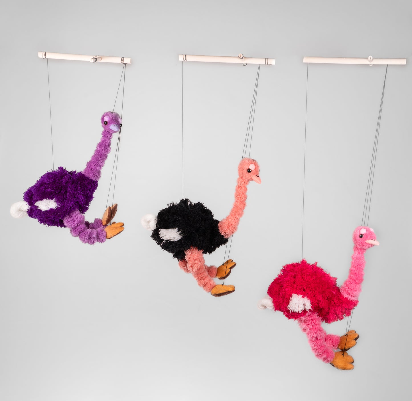 Ostrich